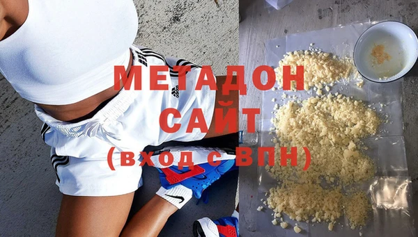 ГАЛЛЮЦИНОГЕННЫЕ ГРИБЫ Богданович