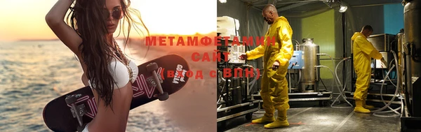 ГАЛЛЮЦИНОГЕННЫЕ ГРИБЫ Богданович