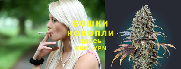 ГАЛЛЮЦИНОГЕННЫЕ ГРИБЫ Богданович