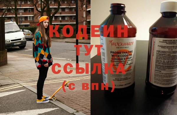 ГАЛЛЮЦИНОГЕННЫЕ ГРИБЫ Богданович