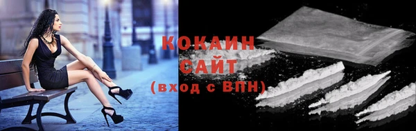 прущие грибы Беломорск