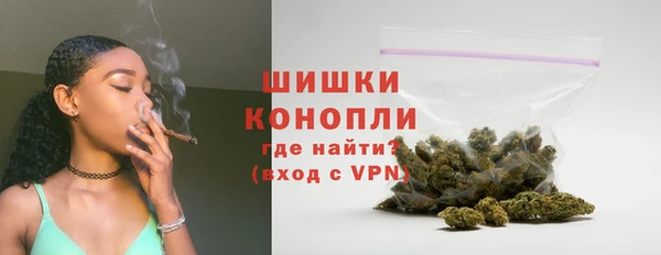прущие грибы Беломорск