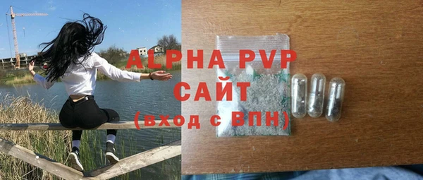 ГАЛЛЮЦИНОГЕННЫЕ ГРИБЫ Богданович