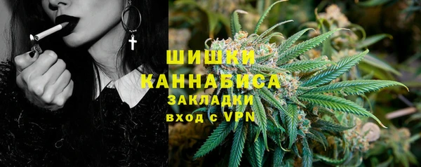 ГАЛЛЮЦИНОГЕННЫЕ ГРИБЫ Богданович
