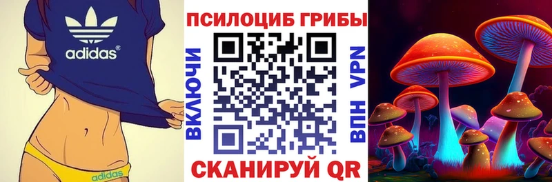 Псилоцибиновые грибы Magic Shrooms  Видное 